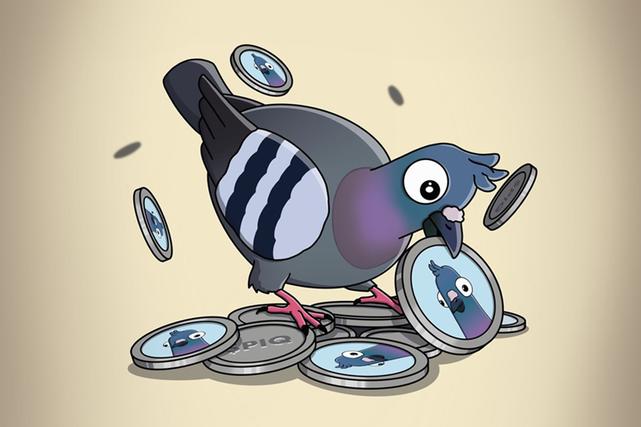 Pigeon Token: The Treasure of Pigeon Quest Adventure