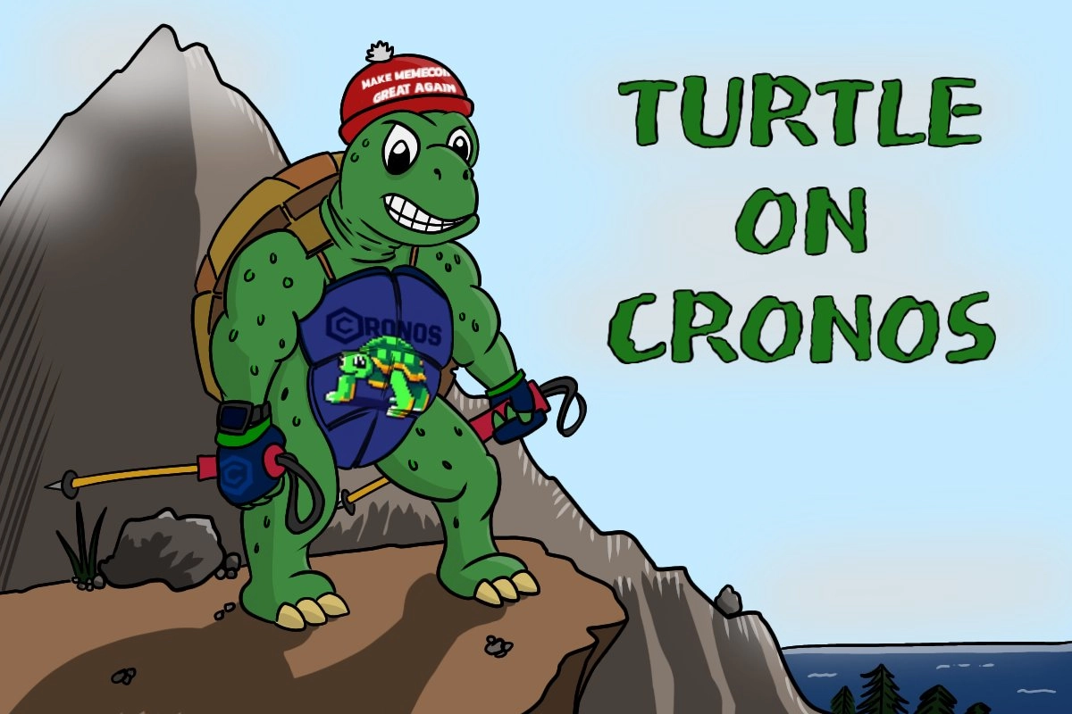 The Journey of TURTLE: A Community-Driven Story