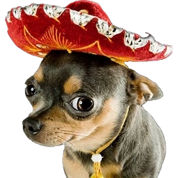 Dogs with Sombrero (WOOF)