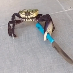 crab with knife (CRAB)